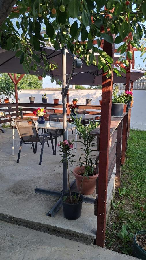 בית אירוח Casa Gabi