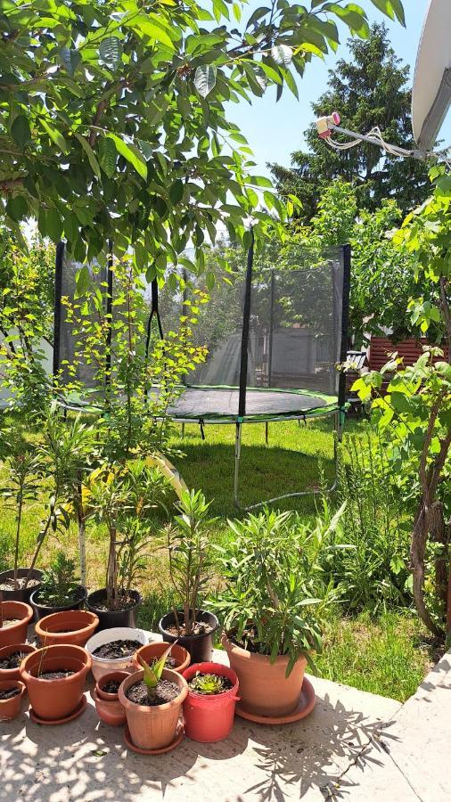 Homestay Casa Gabi